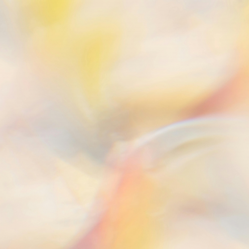 Bild: Puchistides / Pexels