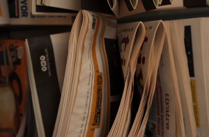 JX Fund für Journalismus im Exil